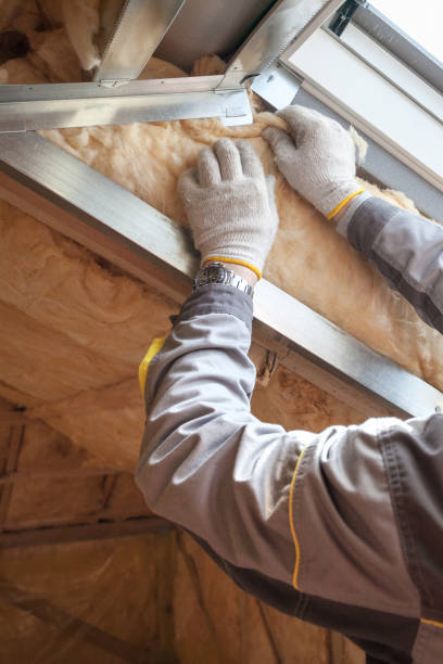 Best Radiant Barrier Insulation  in Lacy Lakeview, TX